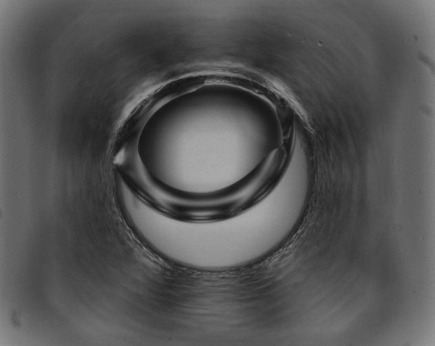 X0000095531360200712141453