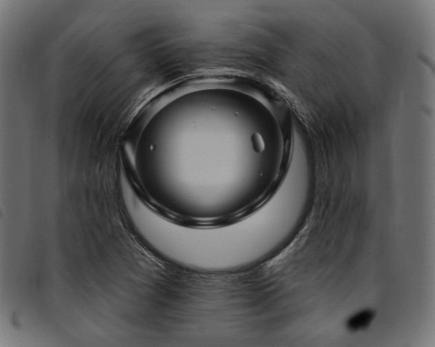 X0000095531361200712141453