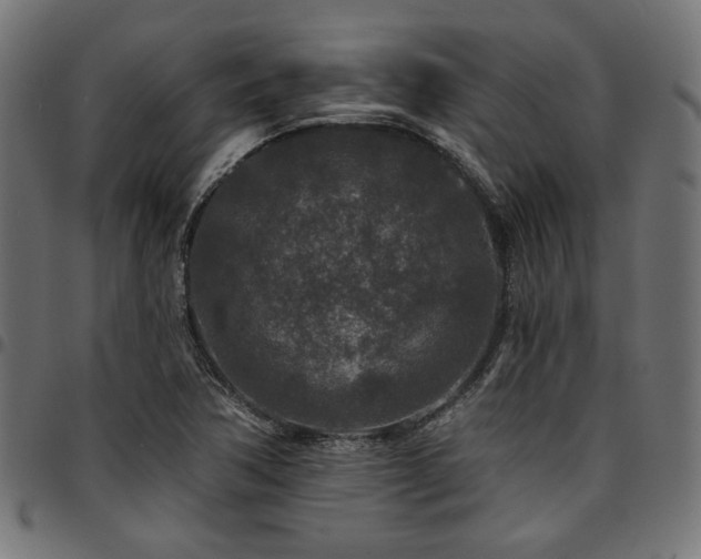 X0000095531362200712141453