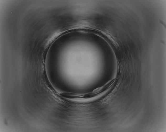 X0000095531363200712141453