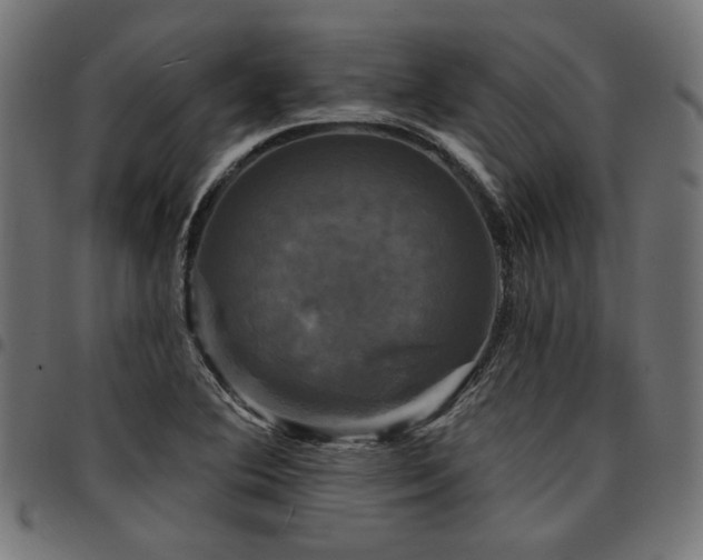 X0000095531364200712141453