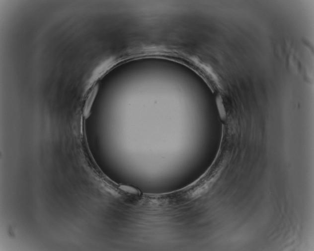 X0000095531365200712141453