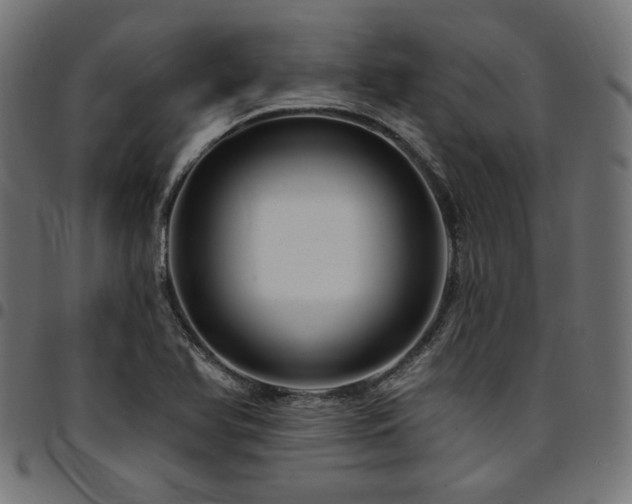 X0000095531366200712141453
