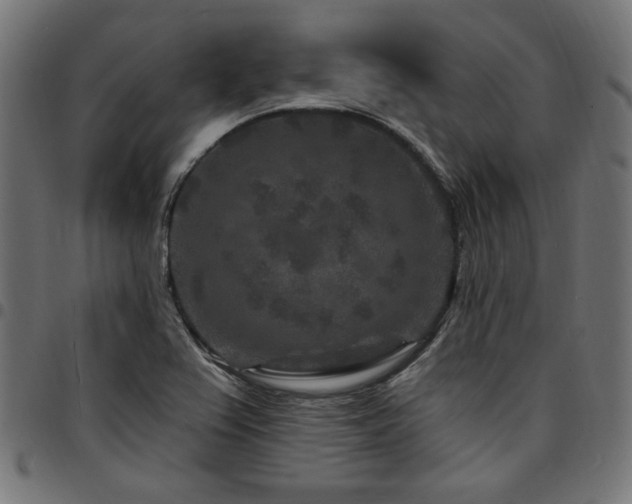 X0000095531367200712141453