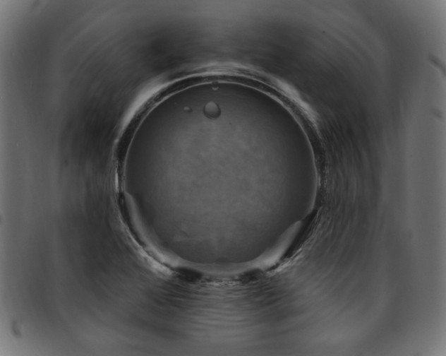 X0000095531368200712141453