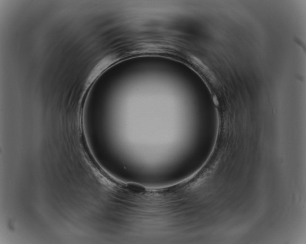 X0000095531370200712141453
