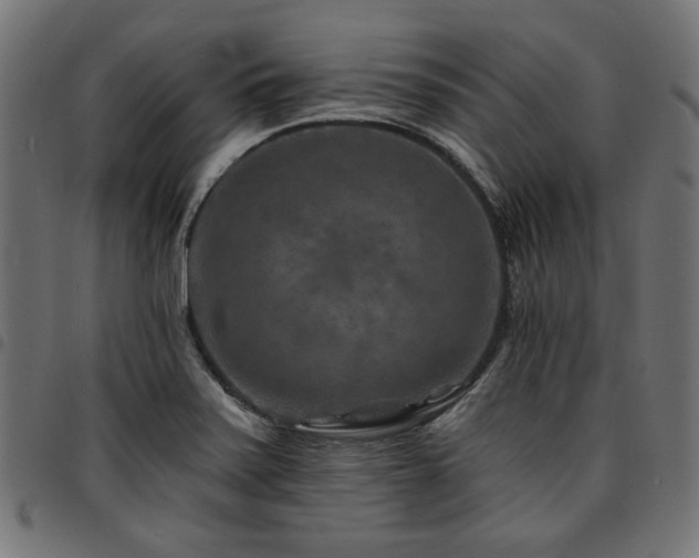 X0000095531371200712141453