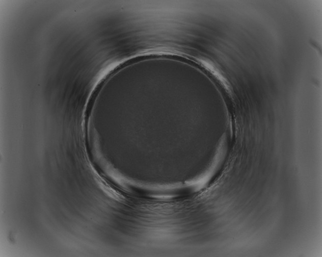 X0000095531372200712141453