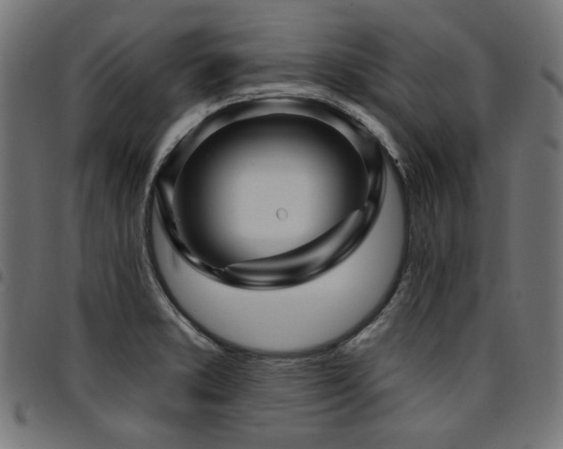 X0000095531373200712141453