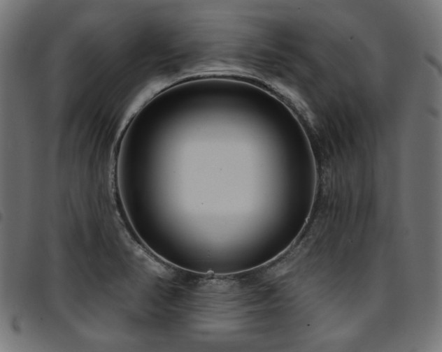 X0000095531374200712141453