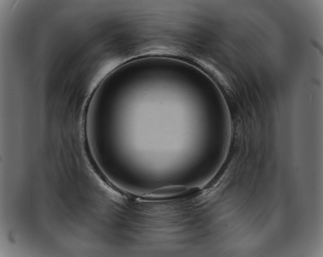 X0000095531375200712141453