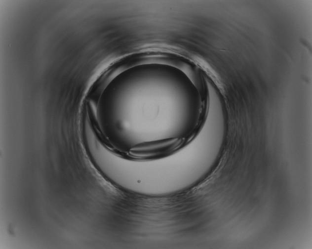 X0000095531376200712141453