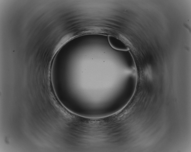 X0000095531378200712141453