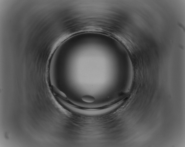 X0000095531379200712141453