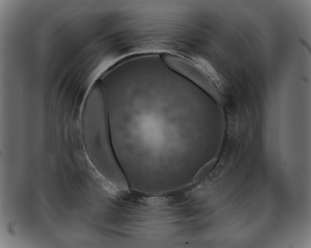 X0000095531380200712141453
