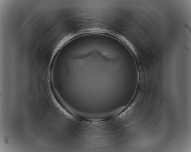 X0000095531381200712141453