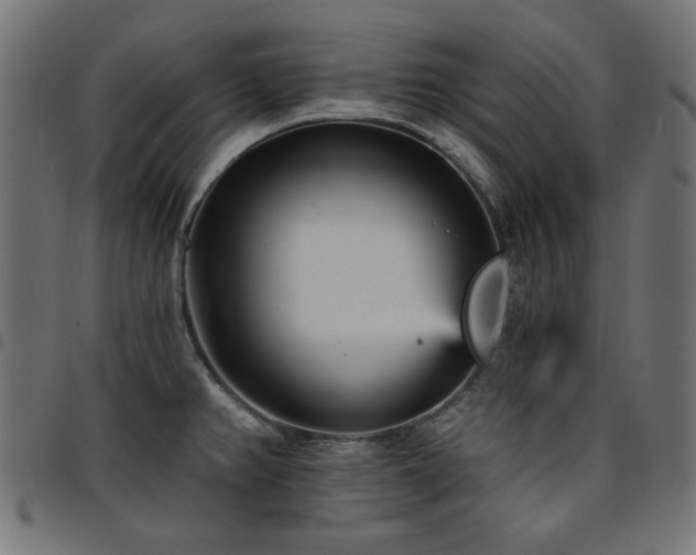 X0000095531382200712141453