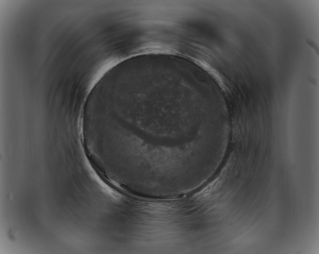 X0000095531383200712141453