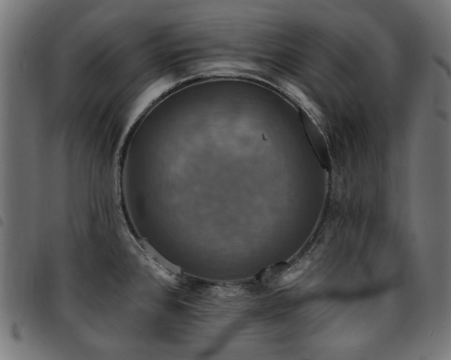 X0000095531384200712141453