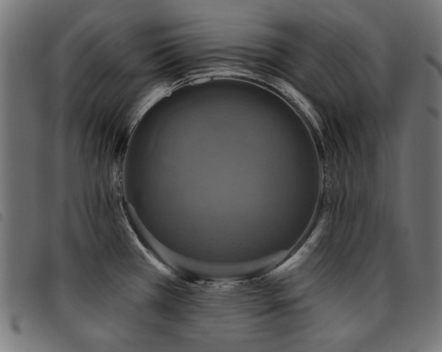 X0000095531385200712141452