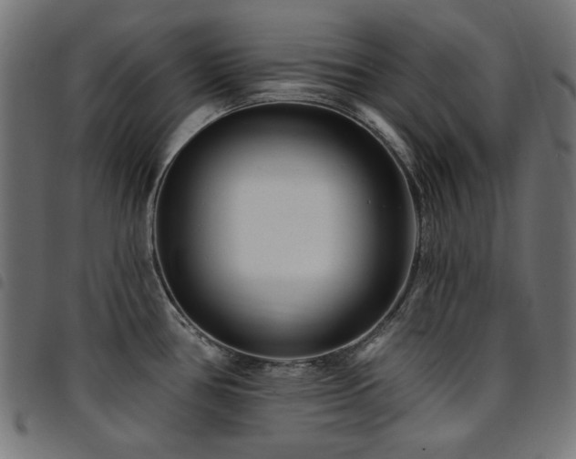 X0000095531386200712141452