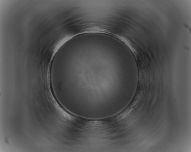 X0000095531387200712141452