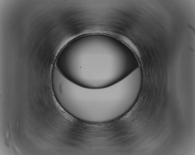 X0000095531388200712141452