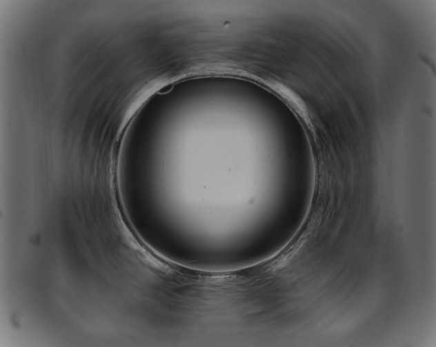 X0000095531390200712141452