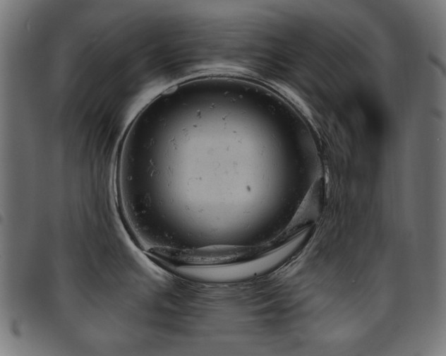 X0000095531391200712141452