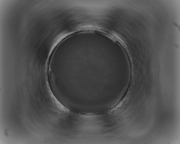 X0000095531392200712141452