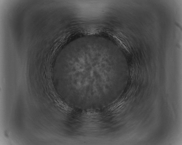 X0000095531393200712141452