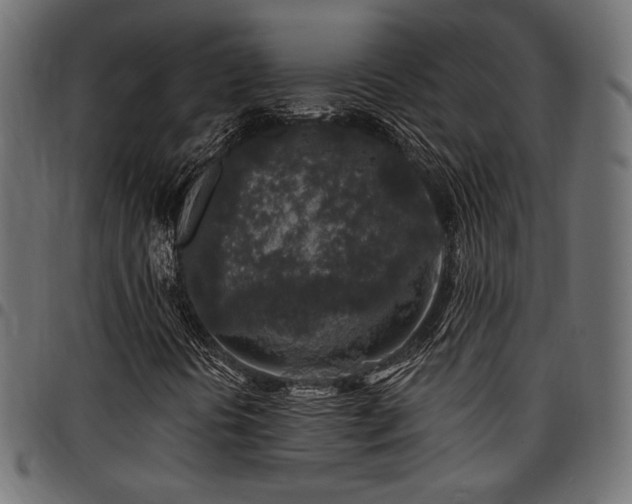 X0000095531394200712141452