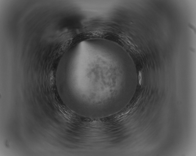 X0000095531395200712141452