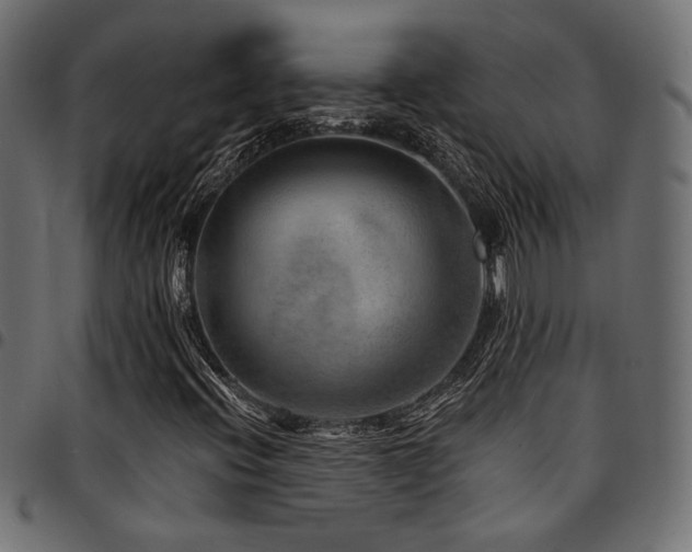 X0000095531396200712141452