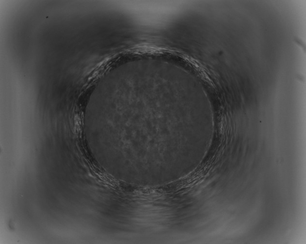 X0000095531397200712141452