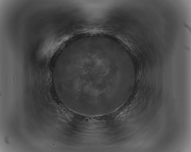 X0000095531398200712141452