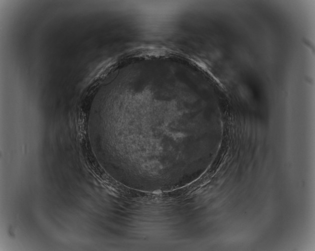 X0000095531399200712141452