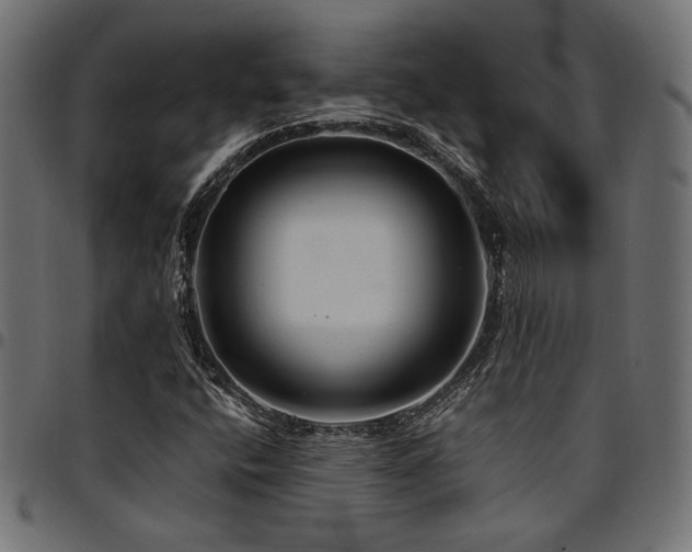 X0000095531400200712141452