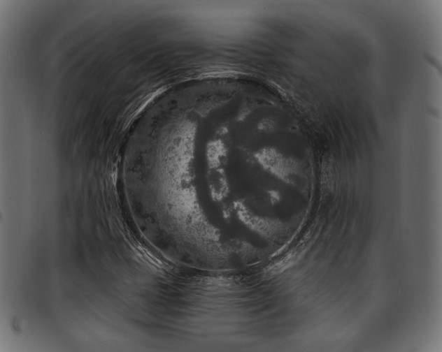 X0000095531401200712141452