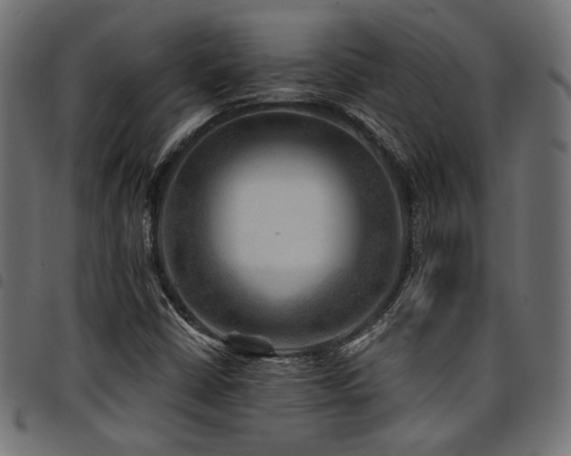 X0000095531402200712141452