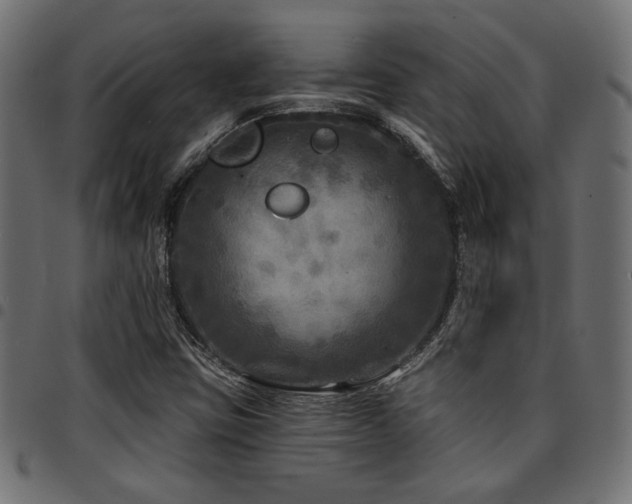 X0000095531403200712141452