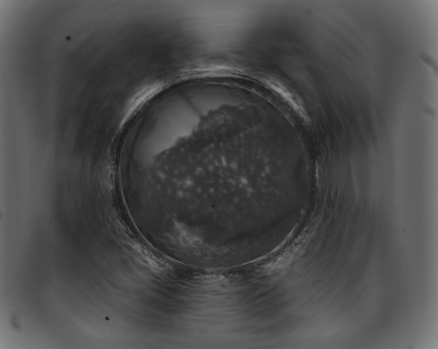 X0000095531405200712141452