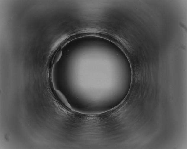 X0000095531406200712141452