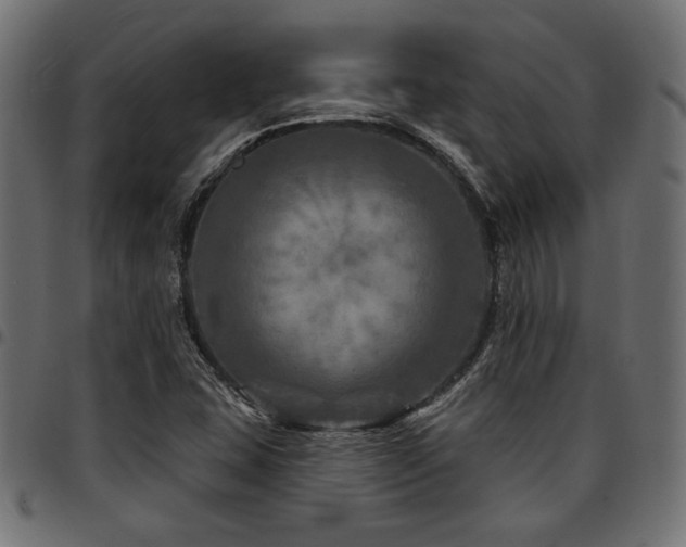 X0000095531407200712141452
