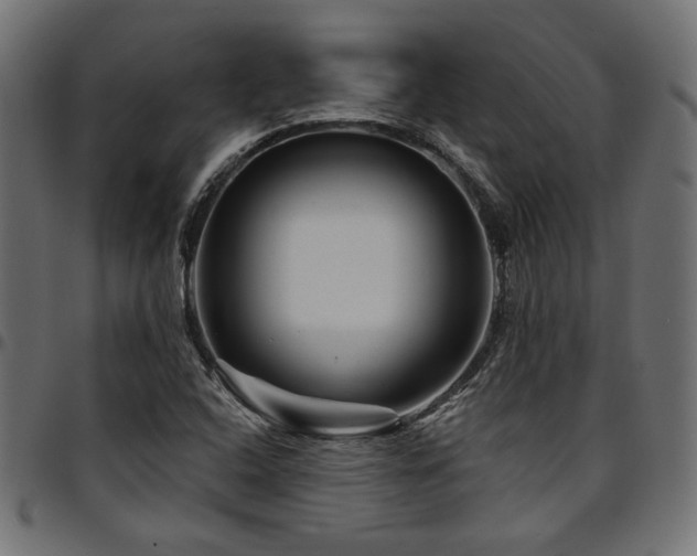 X0000095531408200712141452