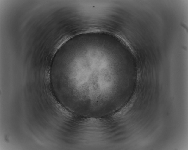 X0000095531409200712141452