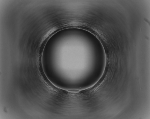 X0000095531410200712141452
