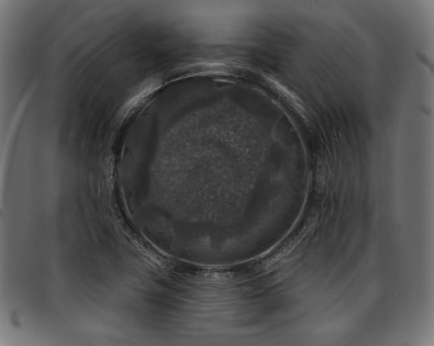 X0000095531411200712141452