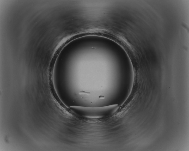 X0000095531412200712141452