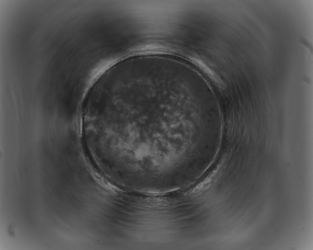 X0000095531413200712141452
